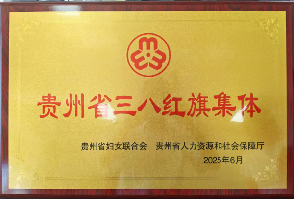 2025年贵州省三八红旗集体（上传）